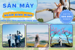 Chương trình tour Đà Lạt 1 ngày 2026
