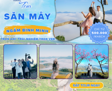 Chương trình tour Đà Lạt 1 ngày 2026