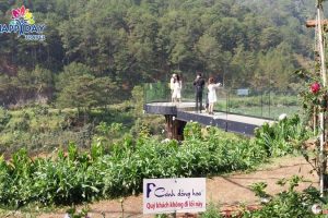 F Cánh Đồng Hoa Đà Lạt – Review địa điểm check in mới