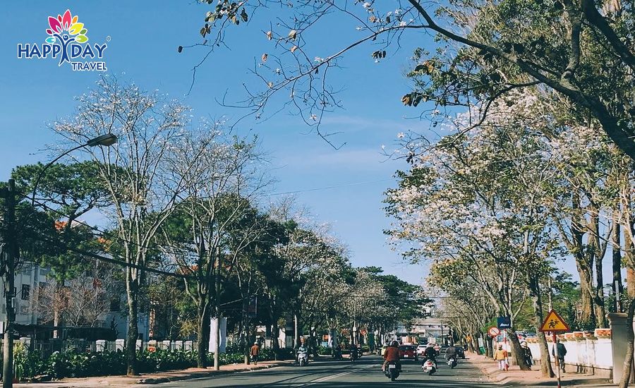 Du lịch Đà Lạt tháng 3 Du lịch Đà Lạt tháng 3