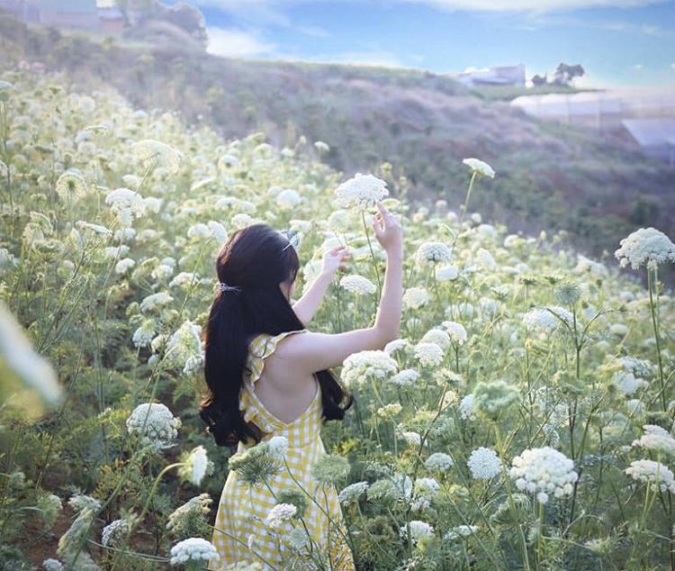 Du lịch Đà Lạt tháng 3 Du lịch Đà Lạt tháng 3