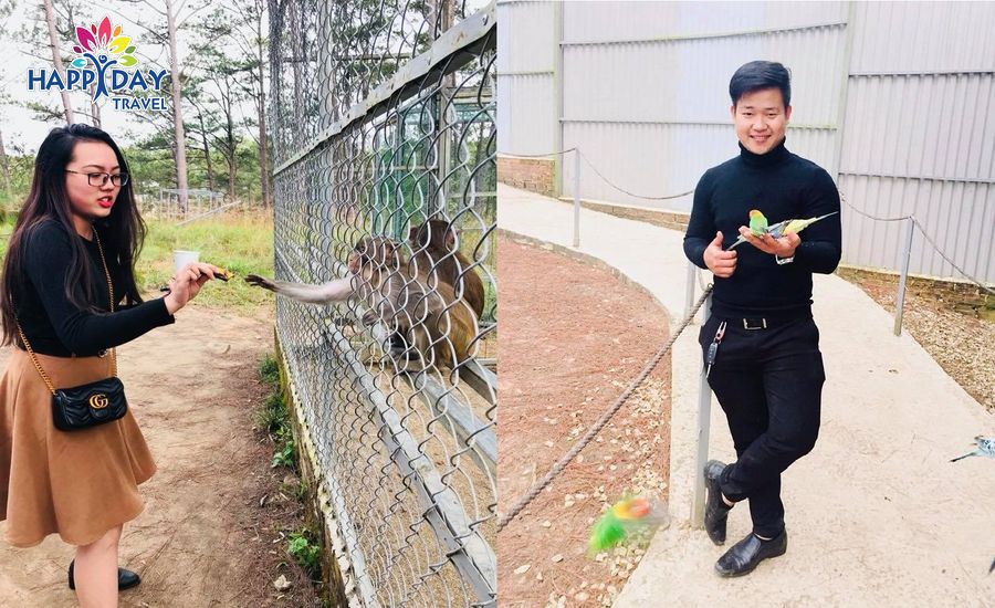 Zoodoo Đà Lạt Đà Lạt có gì?