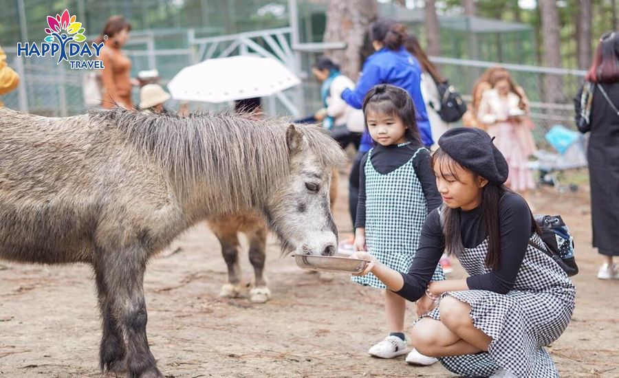 Zoodoo Đà Lạt Đà Lạt có gì?