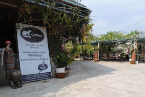 Tham quan trang trại cà phê chồn Đà Lạt – địa điểm sản xuất đặc sản nổi tiếng khắp cả nước