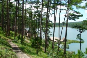 Tìm hiểu những điều hấp dẫn tại Khu dã ngoại Phương Nam