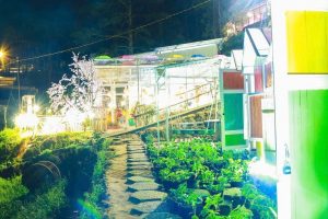 Khám phá vẻ đẹp nông trại Sunny Farm – điểm sống ảo cực chất thu hút giới trẻ