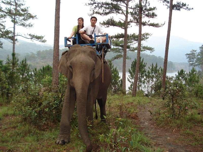 khu dã ngoại Phương Nam 