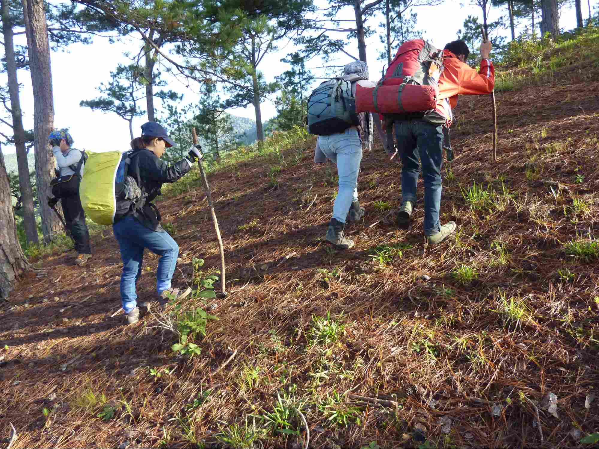 Chinh phục đỉnh núi Pinhatt