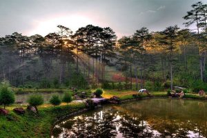 Vườn quốc gia Bidoup Núi Bà khung cảnh thiên nhiên hoang sơ đẹp ngút ngàn