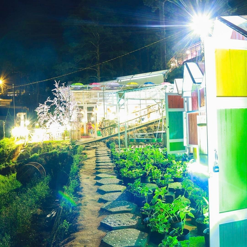 nông trại Sunny Farm