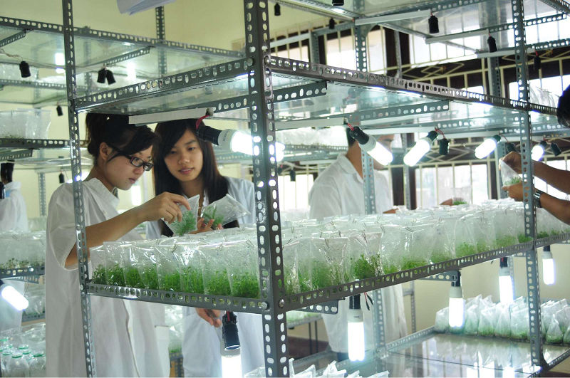 Khu nghiên cứu về các loại thực vật và nguồn gen quý