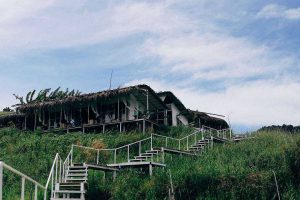Tận hưởng khoảnh khắc bình yên tại The Wilder-nest