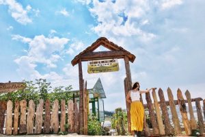 Khám phá vẻ đẹp của Bunny Hill Farm & Homestay