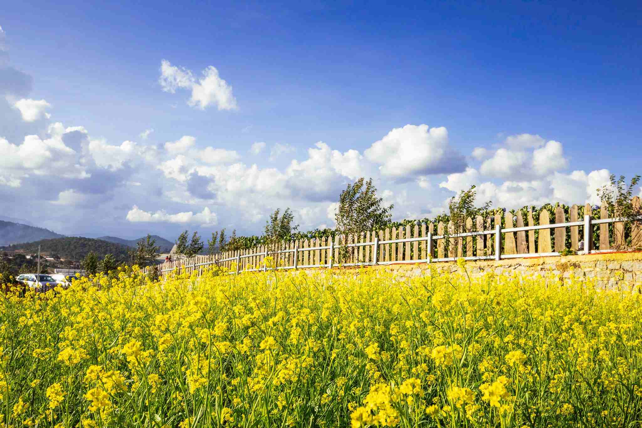 Tham quan nông trại Bunny Hill