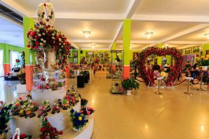 Khám phá Rừng Hoa Đà Lạt – Nơi mang vẻ đẹp bí ẩn, ma mị