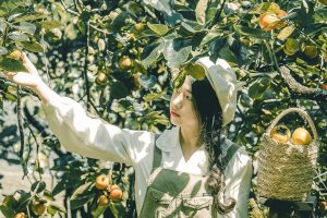 Ghé thăm Vườn hồng nhà Tom