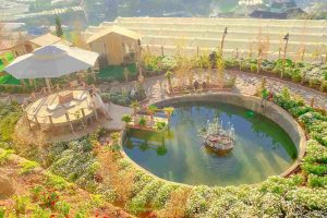 1001 góc sống ảo tại Ixora Homestay & Coffee