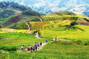 Trekking trên cung đường Tà Năng Phan Dũng