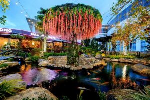 Xuân Hương Garden Coffee – Thiên đường sống ảo