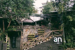 Ngẩn ngơ ngắm hoa mai anh đài thưởng trà tại An Cafe