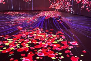 Đột kích Vườn ánh sáng Lumiere Đà Lạt mới toanh