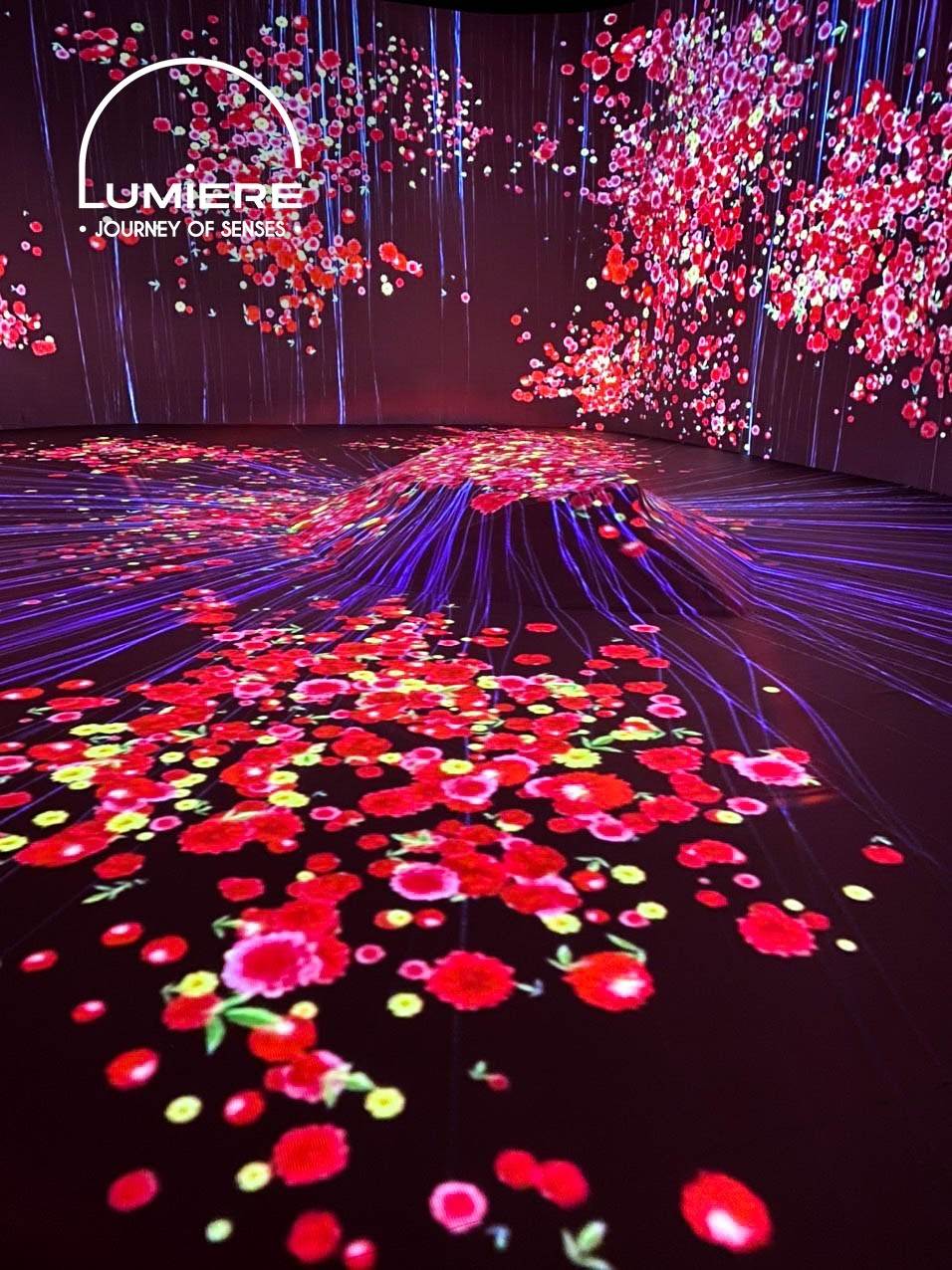 khu vườn ánh sáng đà lạt Không gian nghệ thuật ánh sáng ở Lumiere