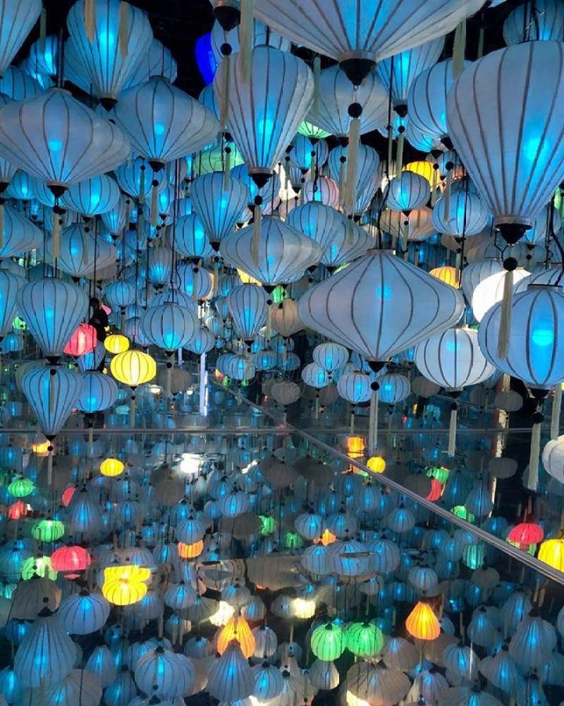 Vườn ánh sáng Lumiere có gì hấp dẫn? Vườn ánh sáng Lumiere