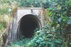 Mục sở thị vẻ ma mị của Đường hầm hỏa xa Đà Lạt