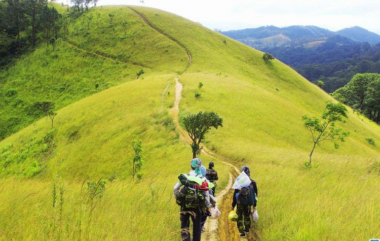 Cung đường Tà Năng Phan Dũng