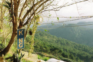 Review quán Kong Coffee Đà Lạt – Quán cafe săn mây tuyệt đẹp