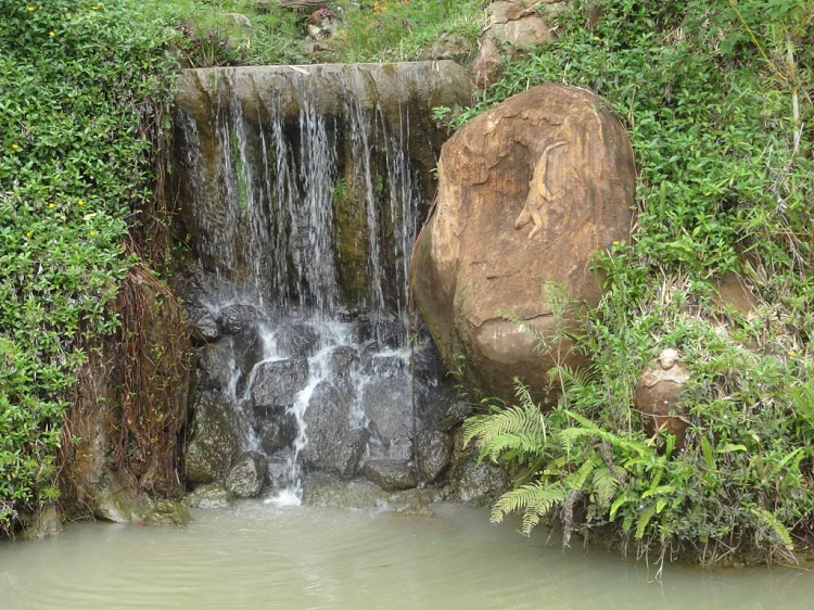 Không gian yên bình