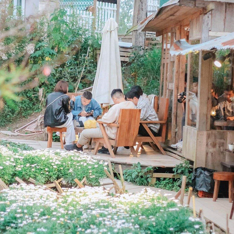 Vườn hoa cúc siêu xinh quán cafe Vườn Yên Đà Lạt