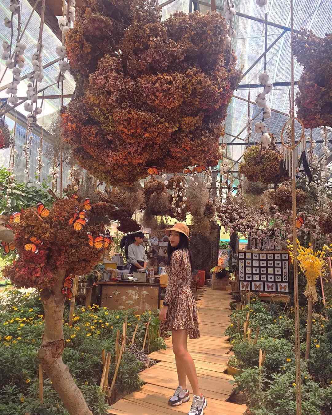 Hoa khô kết tại xưởng kem hoa