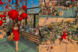 Vườn Sen – Succulents & Coffee: Không gian sống ảo đẹp mê hồn