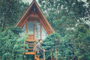 Mộc Trà Farm Đà Lạt – Nơi mang lại cho bạn những phút giây thư giãn