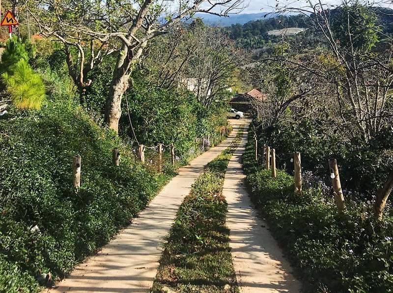 Cảnh thiên nhiên tươi đẹp