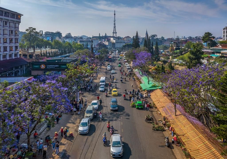 Tuyến đường phượng nở 