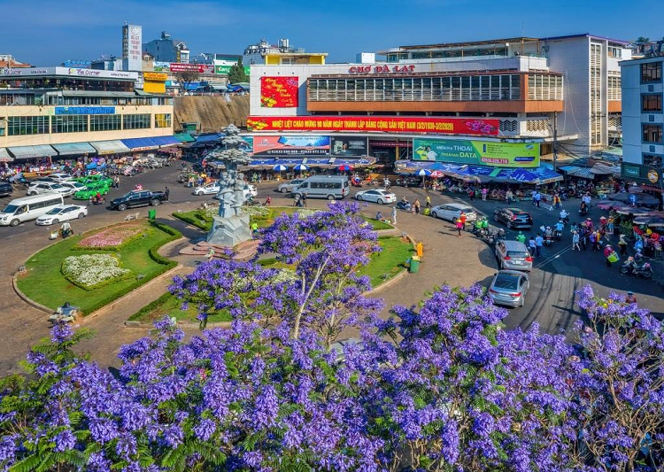 Từ trên cao phượng nở tím rợp trời