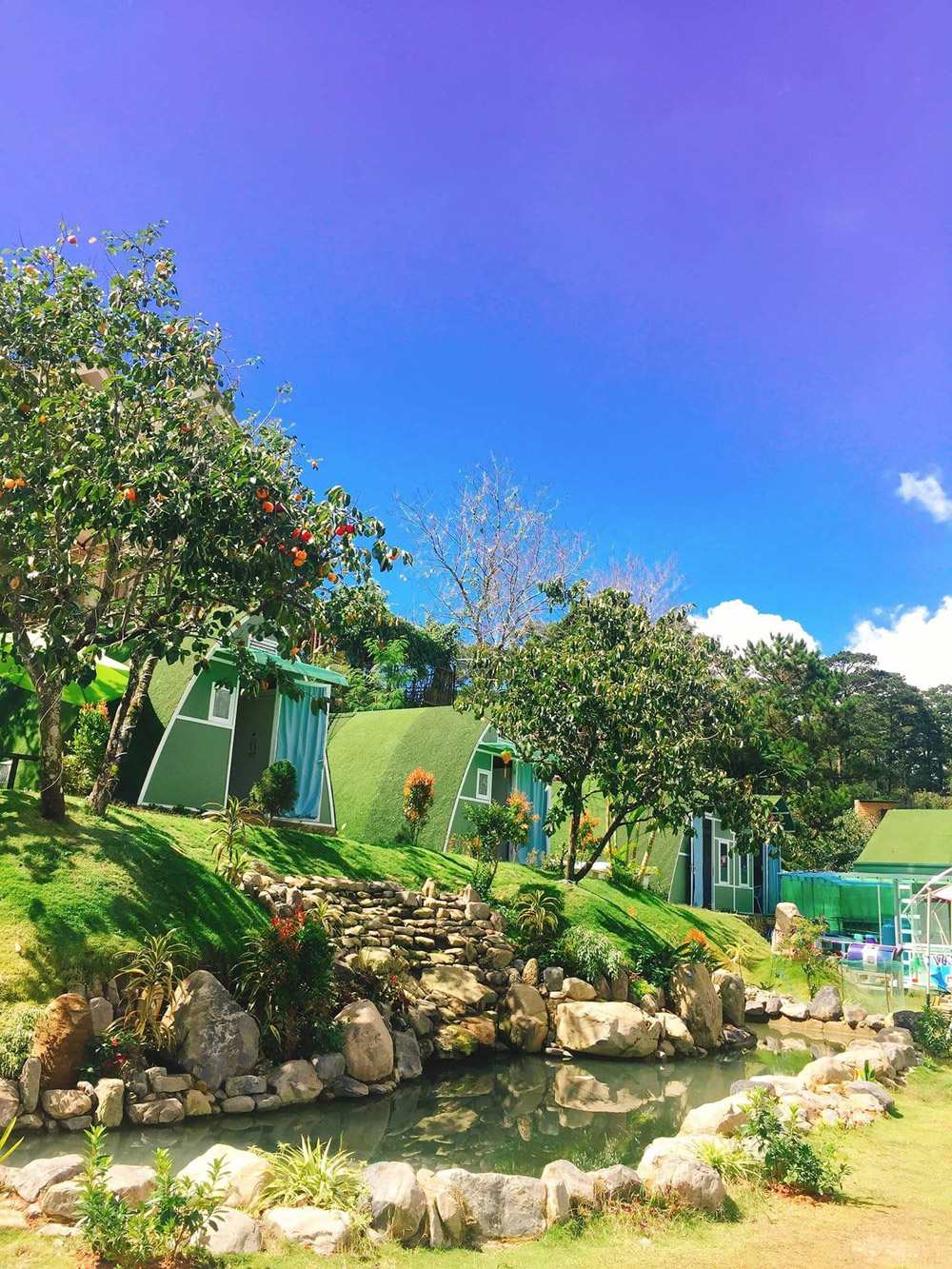 Khuôn viên homestay ngập tràn cây xanh Khuôn viên homestay ngập tràn cây xanh