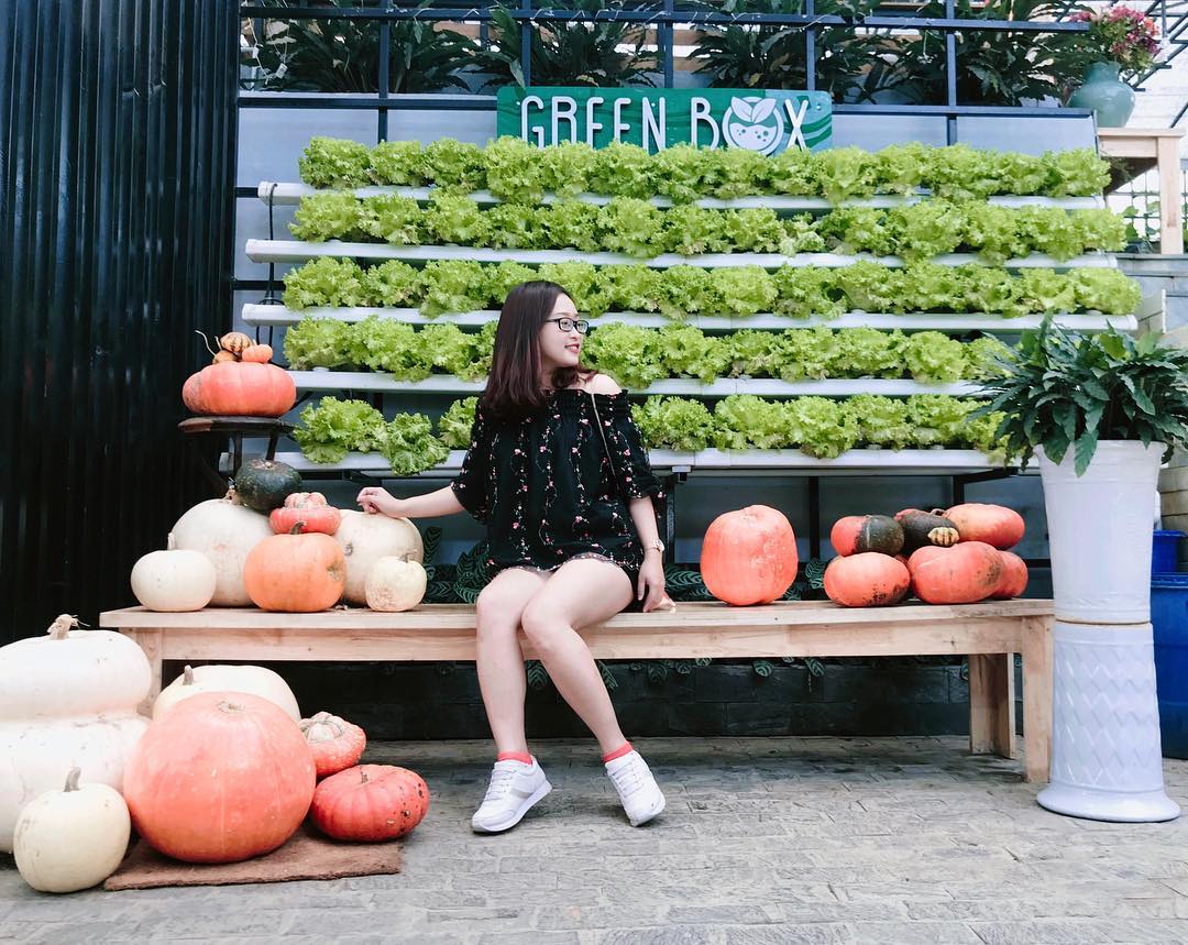 Khu trưng bày rau củ quả sạch