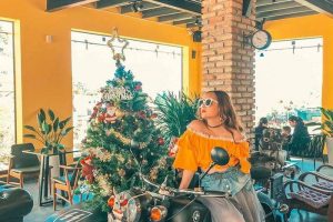 Ghé quán cafe Viva House Đà Lạt ngắm view triền đồi thông 360 độ