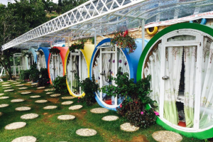 Khám phá khách sạn kiểu ống Dalat Discovery Home