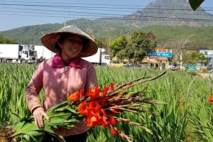 Ghé thăm Làng Hoa Định An – Ngôi làng bình yên tại Đà Lạt