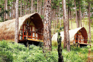 Andante farm and lodge Đà Lạt – Điểm vui chơi giải trí dành cho bạn