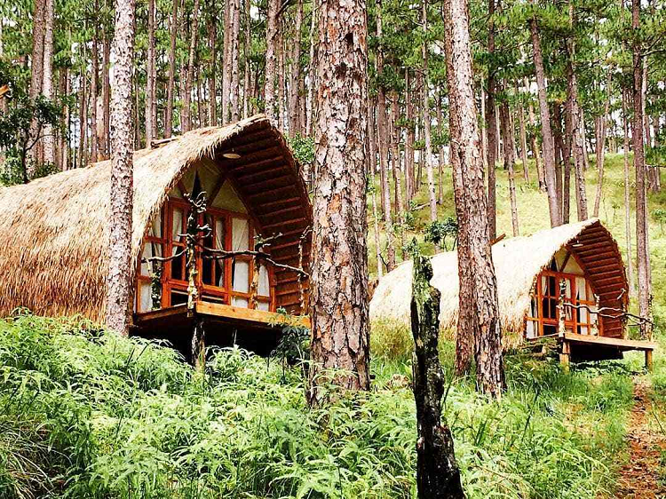 Andante farm and lodge Đà Lạt Andante farm and lodge Đà Lạt