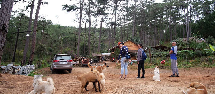 Andante farm and lodge Đà Lạt Andante farm and lodge Đà Lạt