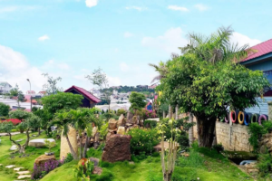 Khung cảnh nên thơ tại Homestay Cánh Đồng Hoa Đà Lạt
