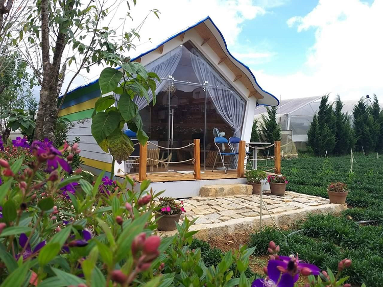 Homestay Cánh Đồng Hoa