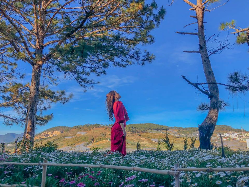 Background đẹp không lối thoát