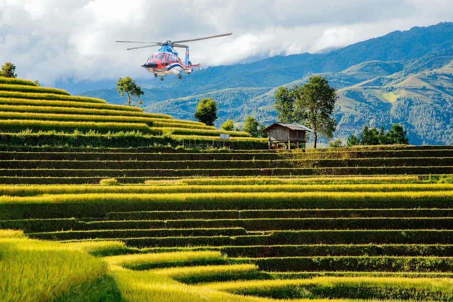 Ruộng bậc thang thoai thoải